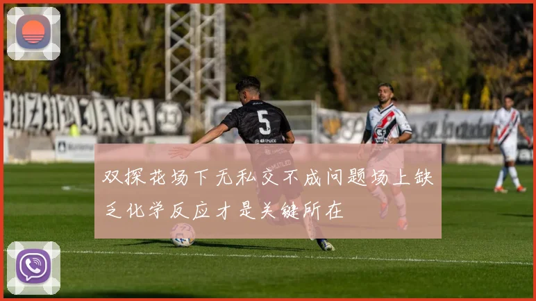 双探花场下无私交不成问题场上缺乏化学反应才是关键所在